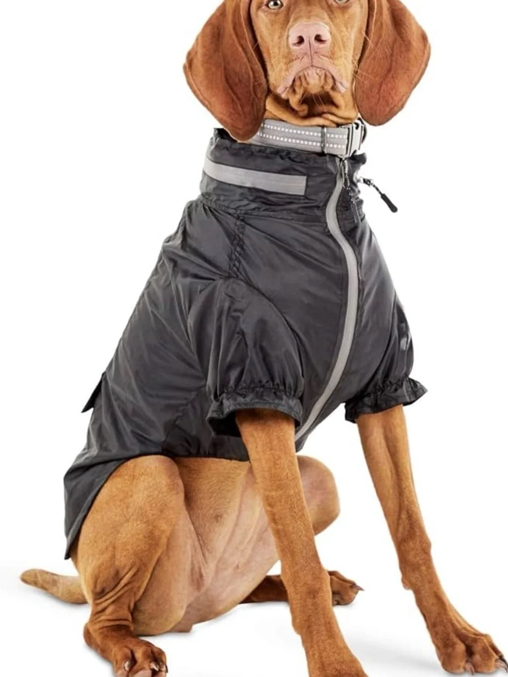 Reddy Black Mesh-Lined Dog Rain Jacket